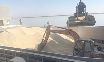 Bulk Cargo Handling